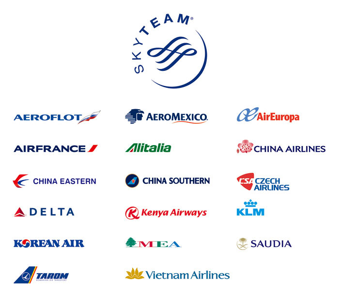 SkyTeam partners
